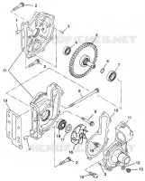 POMPA DELL'ACQUA 600 XCR 0975677, 600 XCR SE H975677 and EUROPEAN 600 XCR SE E975 (4937963796D003)
