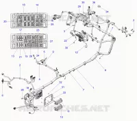 ELETTRICO, WIRE HARNESS, CHASSIS