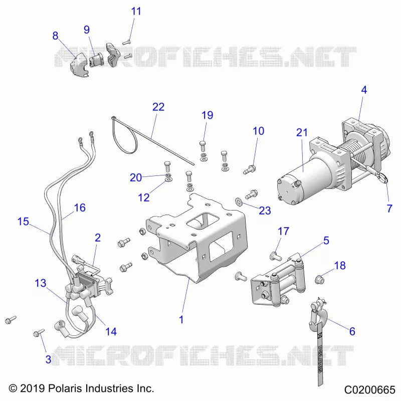 CHASSIS, VERRICELLO