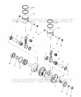 PISTON AND ALBERO MOTORE (TRAIL) (4910941094034A)