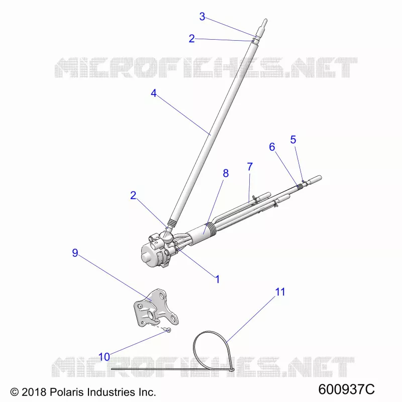 POMPA DELL'OLIO ASM.