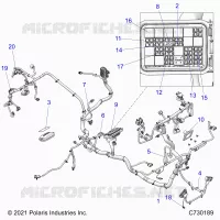 ELETTRICO, WIRE HARNESS
