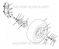 RUOTA ANTERIORE ASSEMBLY (4916331633015A)