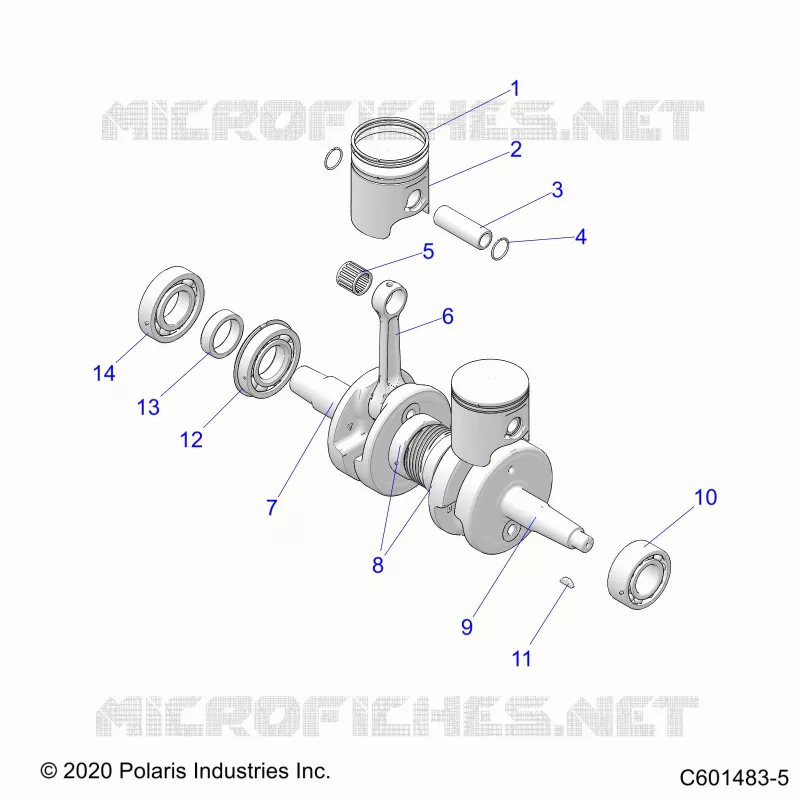 ENGINE, PISTON AND ALBERO MOTORE