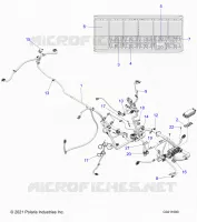 ELETTRICO, HARNESS