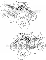 DECALS SCRAMBLER 400L W97BC38C (4939893989A014)