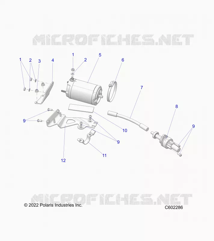 ANTIPASTO MOTOR