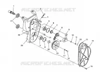 carter della catena ASSEMBLY XLT/0930767,XLT SP/0930667    XLT SKS/0930567 (4923012301017A)