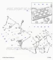 ELETTRICO, WIRE HARNESS