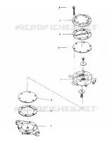 CARBURANTE PUMP (600 AND 600 SE) (4909500950051A)