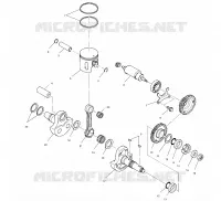 PISTONEEE   ALBERO MOTORE (SPORT)
