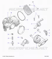 ENGINE, CORPO FARFALLATO AND FUEL RAIL