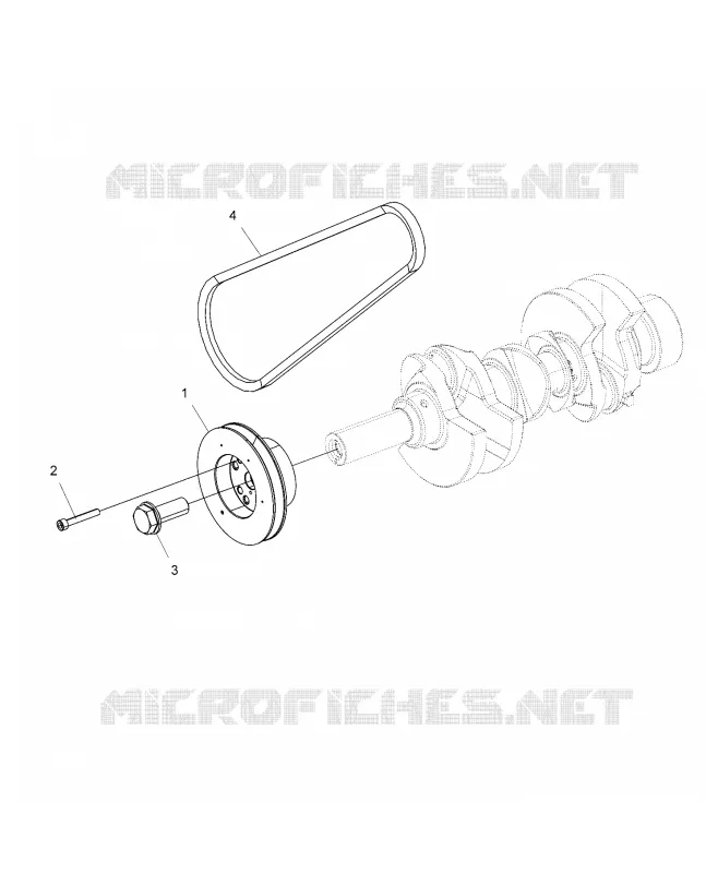 ENGINE, DRIVE PULEGGIA AND DRIVE BELT