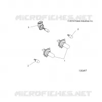 ELETTRICO, BULBS