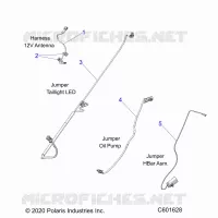 ELETTRICO, JUMPER WIRES
