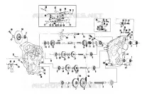 FRENO   CARTER DELLA CATENA (LTR) (4910931093013A)