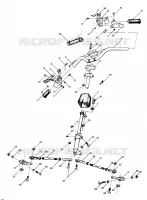 TIMONE LTR (4914141414011A)