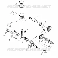 PISTONEEE   ALBERO MOTORE 2X4 400L W947540 (4926752675C009)