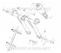 ANTERIORE COPPIA ARM (EDGE)