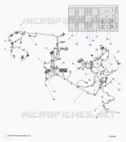 ELETTRICO, WIRE HARNESS