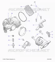 ENGINE, CORPO FARFALLATO AND FUEL RAIL