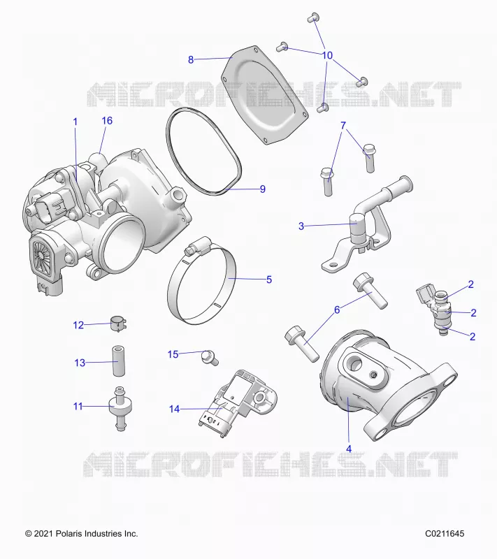 ENGINE, CORPO FARFALLATO AND FUEL RAIL