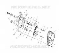 carter della catena XLT SP 0966676 and  EUROPEAN XLT SP E966676 (4931703170B008)