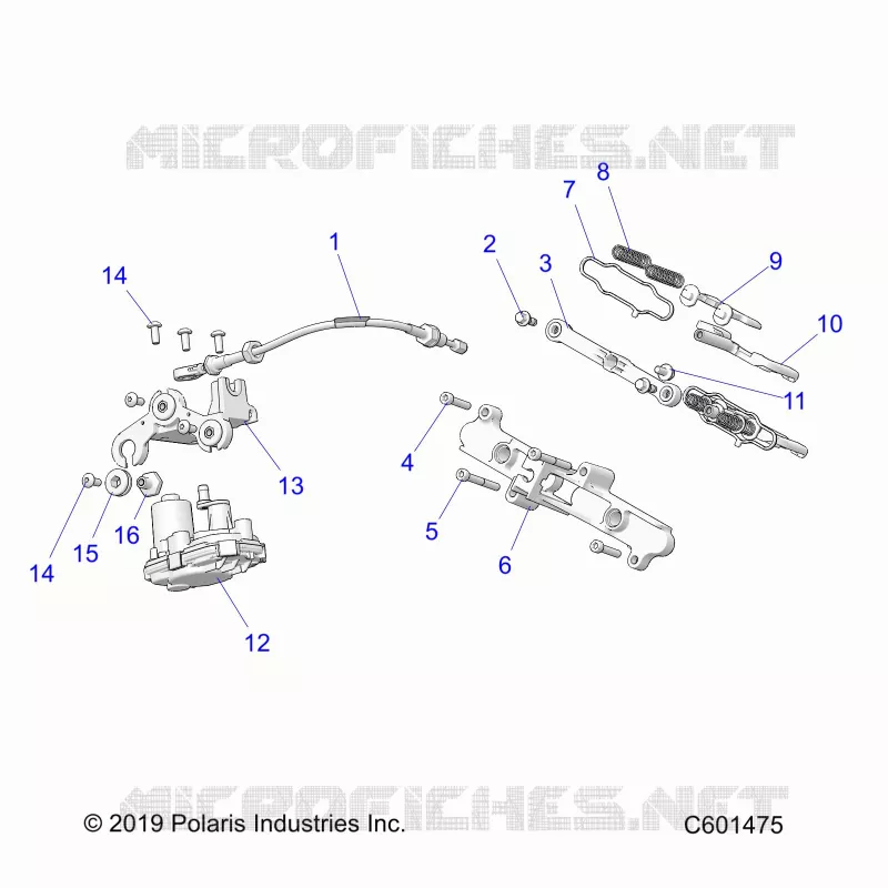 ENGINE, VALVOLA SCARICO ASM. AND ACTUATOR