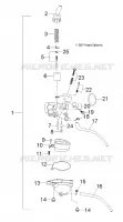MOTORE, CARBURATORE