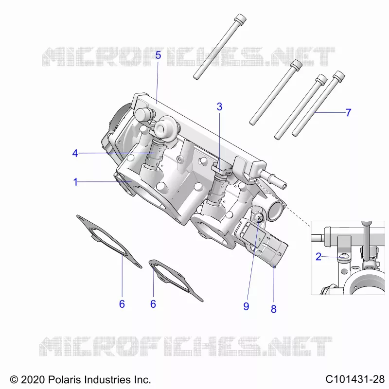 ENGINE, CORPO FARFALLATO