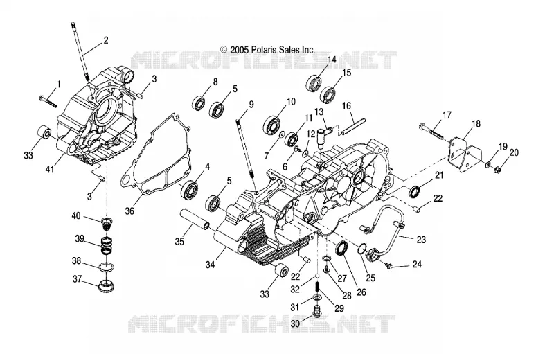 CARTER