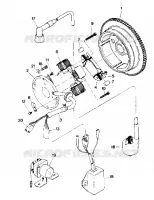 MAGNETO ASSEMBLY (4913521352043A)