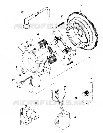 MAGNETO ASSEMBLY (4913521352043A)