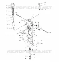 CARBURATORE    650 (4915411541057A)