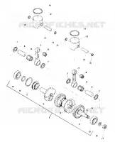 PISTON AND ALBERO MOTORE (SS) (4909540954023A)