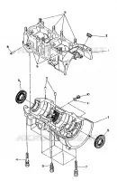 CARTER 500 and 500 Classic (4919251925023A)