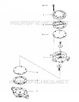 CARBURANTE PUMP (600 AND 600 SE) (4909500950051A)