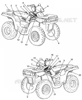 DECALS  SPORTSMAN 500 W97CH50A (4939993999A009)