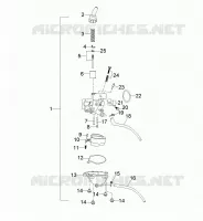 ENGINE, CARBURATORE