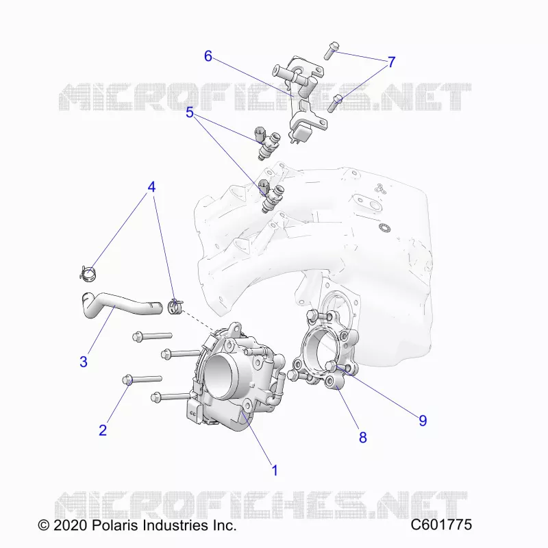 SISTEMA DI ALIMENTAZIONE CARBURANTE, THROTTLE BODY/FUEL RAIL