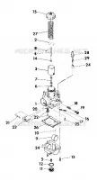CARBURATORE ASSEMBLY (4918531853039A)