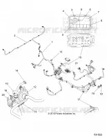 ELETTRICO, HARNESSES