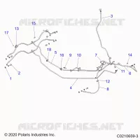 LINEE FRENO