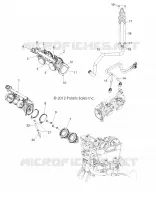 corpo farfallato and INJECTOR