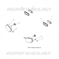 FAROS, FANALE POSTERIORES and BULBS