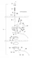 MOTORE, CARBURATORE