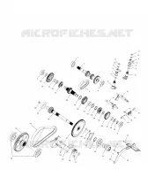 SCATOLA DEGLI INGRANAGGI (Internal Components)