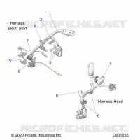ELETTRICO, WIRE HARNESS, HOOD, ELEC. START