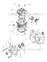 CARTER AND CILINDRO      STAR AND STARTRAK (4916811681033A)