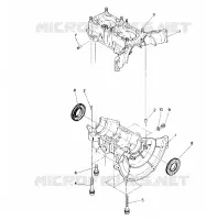 CARTER Sprint E/S (4915431543022A)